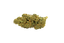 NICE 22/1 CC Cookies & Cream