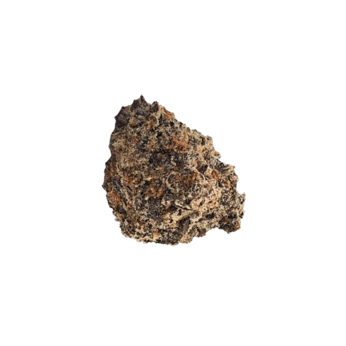 NICE 22/1 WTR White Truffle