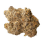 NICE 23/1 GCC Grape Cream Cake
