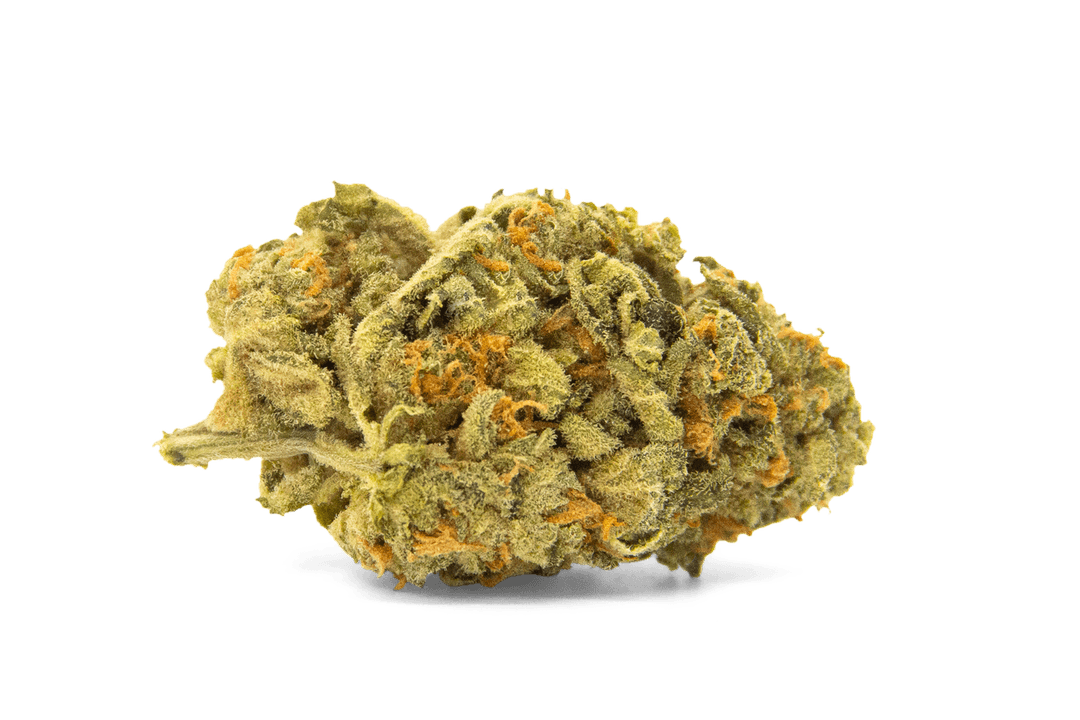 NICE 25/1 RAM Rainbow Amnesia