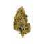 NICE 26/1 CHA Capri Haze
