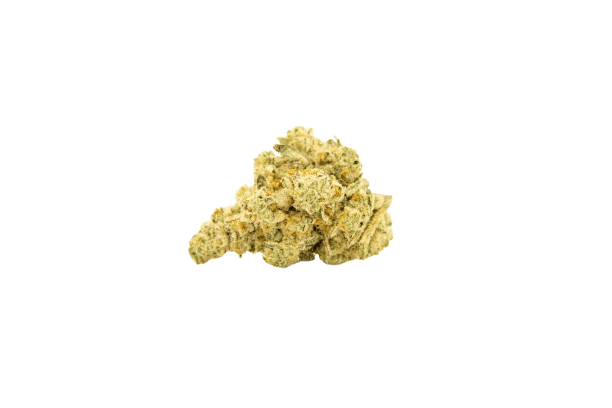 NICE 26/1 CJ Cap Junky