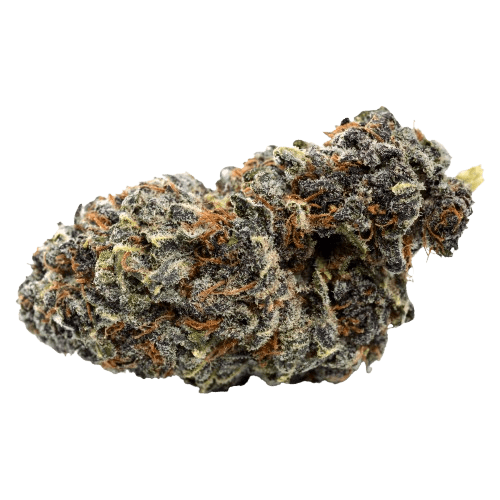 NICE 26/1 GP Georgia Pie