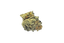 NICE 26/1 KC LA Kush Cake