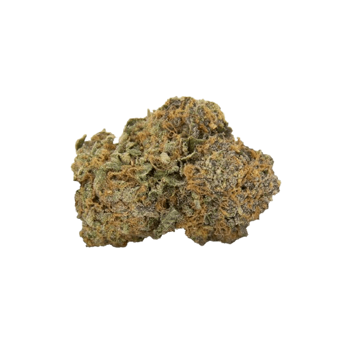 NICE 26/1 PJ Platinum Jack