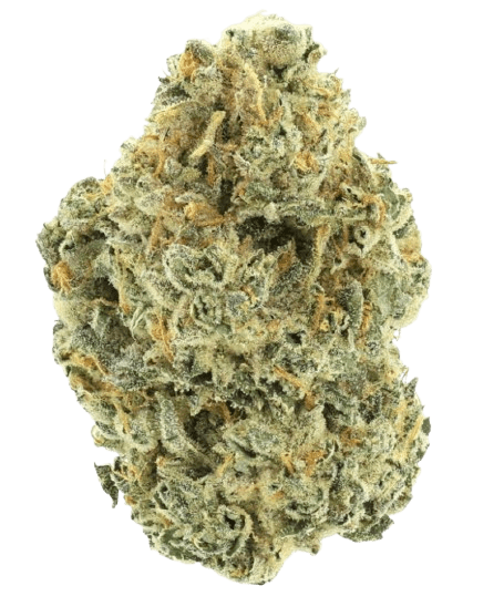 NICE 28/1 TRG GMO Tropical Gelato