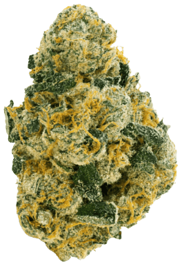 Nice 28/1 WPG Wedding Pie Gelato
