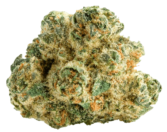 NICE 29/1 LP Lotus Punch