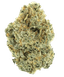 NICE 30/1 TRG GMO Tropical Gelato