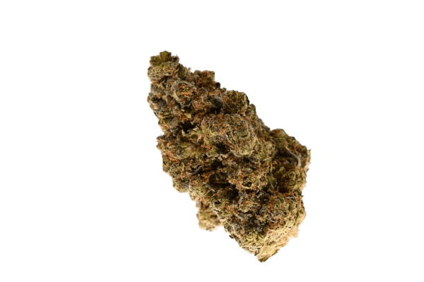 NICE 31/1 GSC Girl Scout Cookies