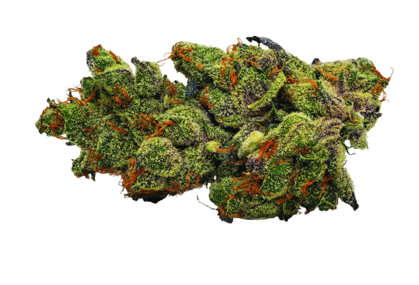 NICE 32/1 CHM GMO Chem Mintz