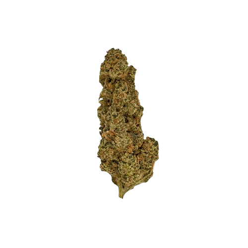 NICE 32/1 LH Lemon Haze