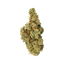 NICE 30/1 LK Lemon Kush