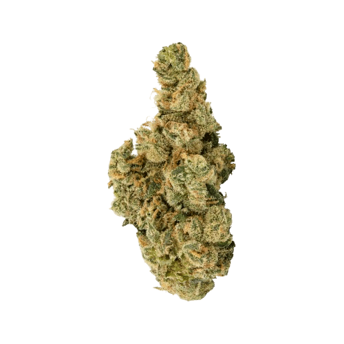 NICE 30/1 LK Lemon Kush