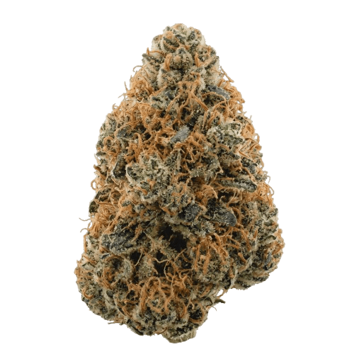 Origine Nature CHEM 29/1 Chemdawg OG