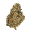 Origine Nature GG 21/1 Golden Gauth