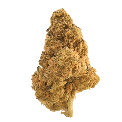 Origine Nature MED 32/1 Medellin