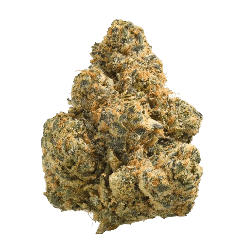 Origine Nature OC 32/1 Orange Cream
