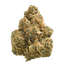 Origine Nature OC 32/1 Orange Cream
