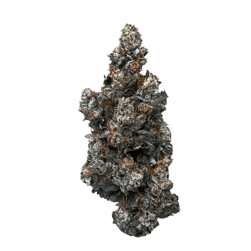 Ostara GC 25/1 Gas Cake