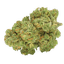 Pedanios 10/13 MBE-CA Moon Berry