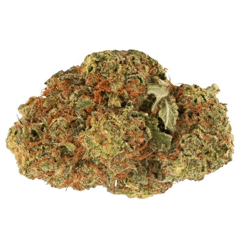 Pedanios 20/1 LA Confidential