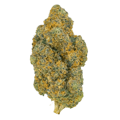 Pedanios 25/1 FLH-CA Frozen Lemon Haze