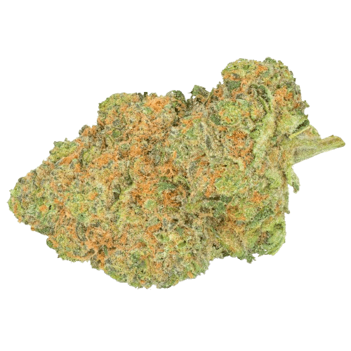 Pedanios 27/1 BLY-CA Black Jelly