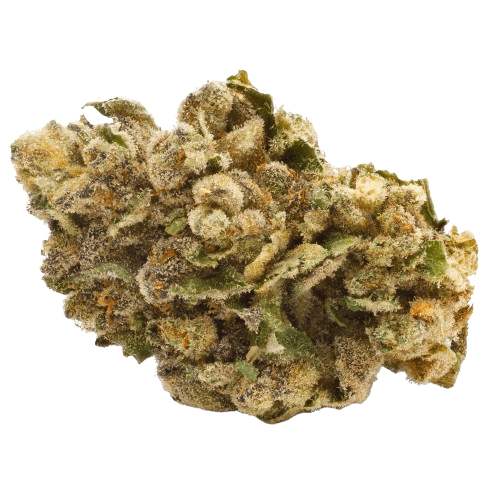 Pedanios 27/1 FRG-CA Farm Gas