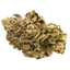 Pedanios 27/1 FRG-CA Farm Gas