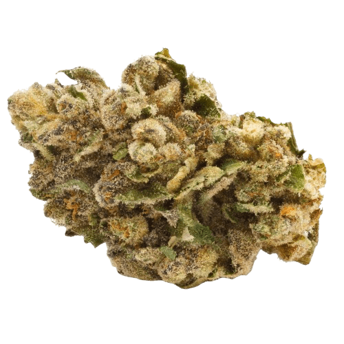 Pedanios 27/1 FRG-CA Farm Gas
