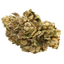Pedanios 27/1 FRG-CA Farm Gas