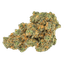 Pedanios 27/1 PND-CA Pink Diesel