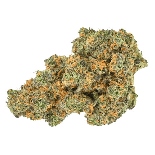 Pedanios 27/1 PND-CA Pink Diesel