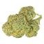 Pedanios 28/1 CMK-CA Chemango Kush