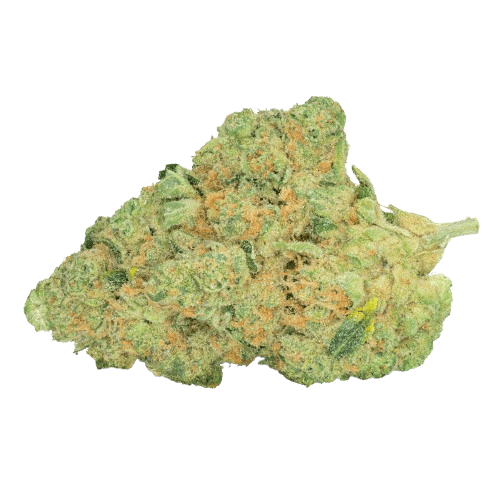 Pedanios 31/1 COS-CA Cosmic Cream