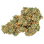 Pedanios 31/1 PND-CA Pink Diesel