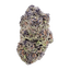 PhCann Exotics 30/1 Black Amber