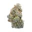PhCann Exotics 32/1 Spritzer