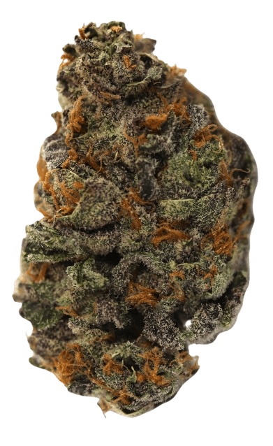 Redecan THC25 KGS King Sherb
