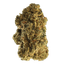 Remexian 22/1 BPD Big Purple Dragon