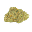 San Raf 31/1 CFK Campfire Kush
