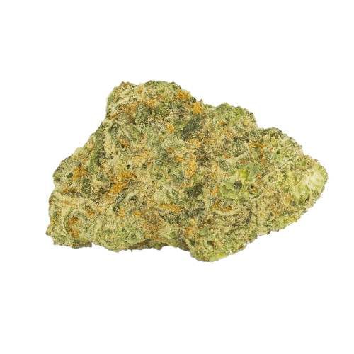 San Raf 31/1 CFK Campfire Kush