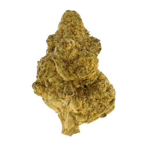 Sumo PAB 25/1 Papaya Bomb