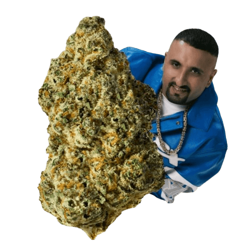 Tannenbusch 26/1 TF Tubitti Frubitti