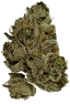 Tilray Craft Cannabisblüten THC25 PPV Platinum Pave