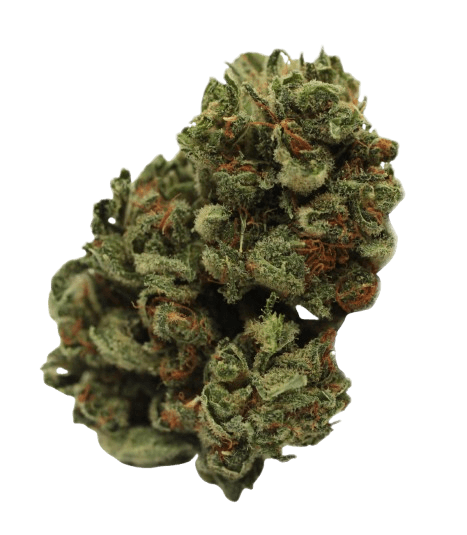 Tilray THC10:CBD10 Warlock No.2