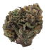 Tilray THC 18 Hybrid No. 5 Purps