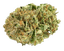 Tilray THC 18 Hybrid No. 2 Pink Kush