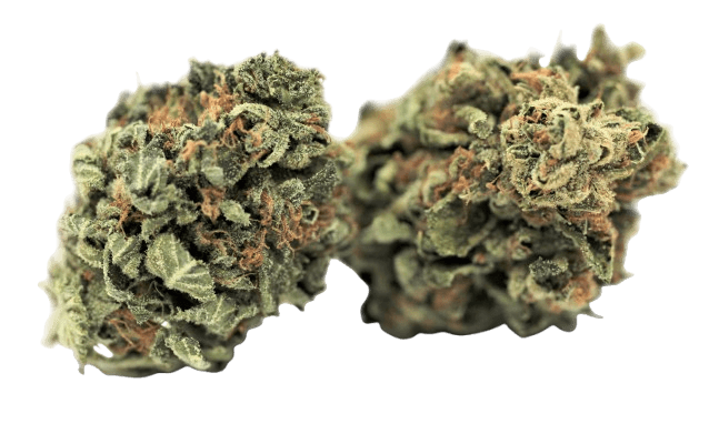 Tilray THC 18 Indica Sirius No. 4